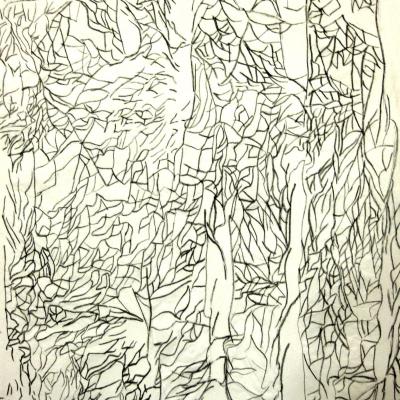 2012 - Chiffonnade Acrylique sur papier 50x65